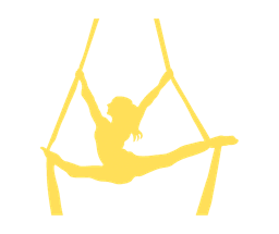 Aerial Acrobatics
