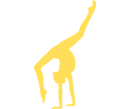 Sports Acrobatics